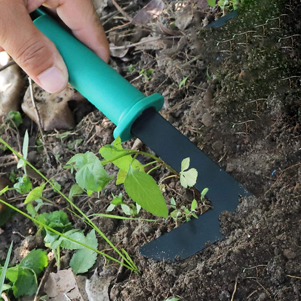 Green garden tool carrying case