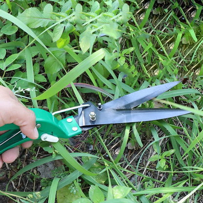 Garden tool set for plant care
